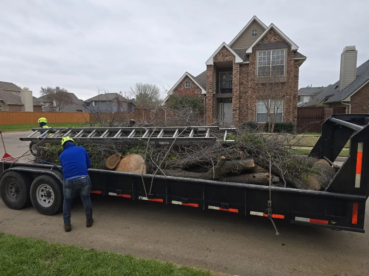 Expert Tree Pest Control with proper safety equipment in Brookville